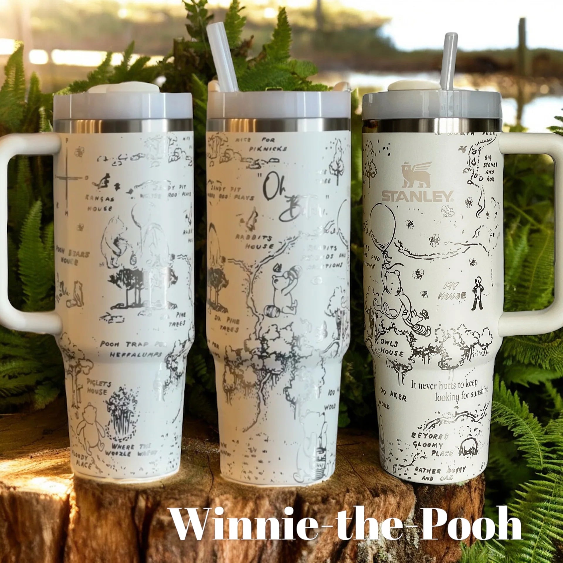 Winnie the Pooh Tumbler
