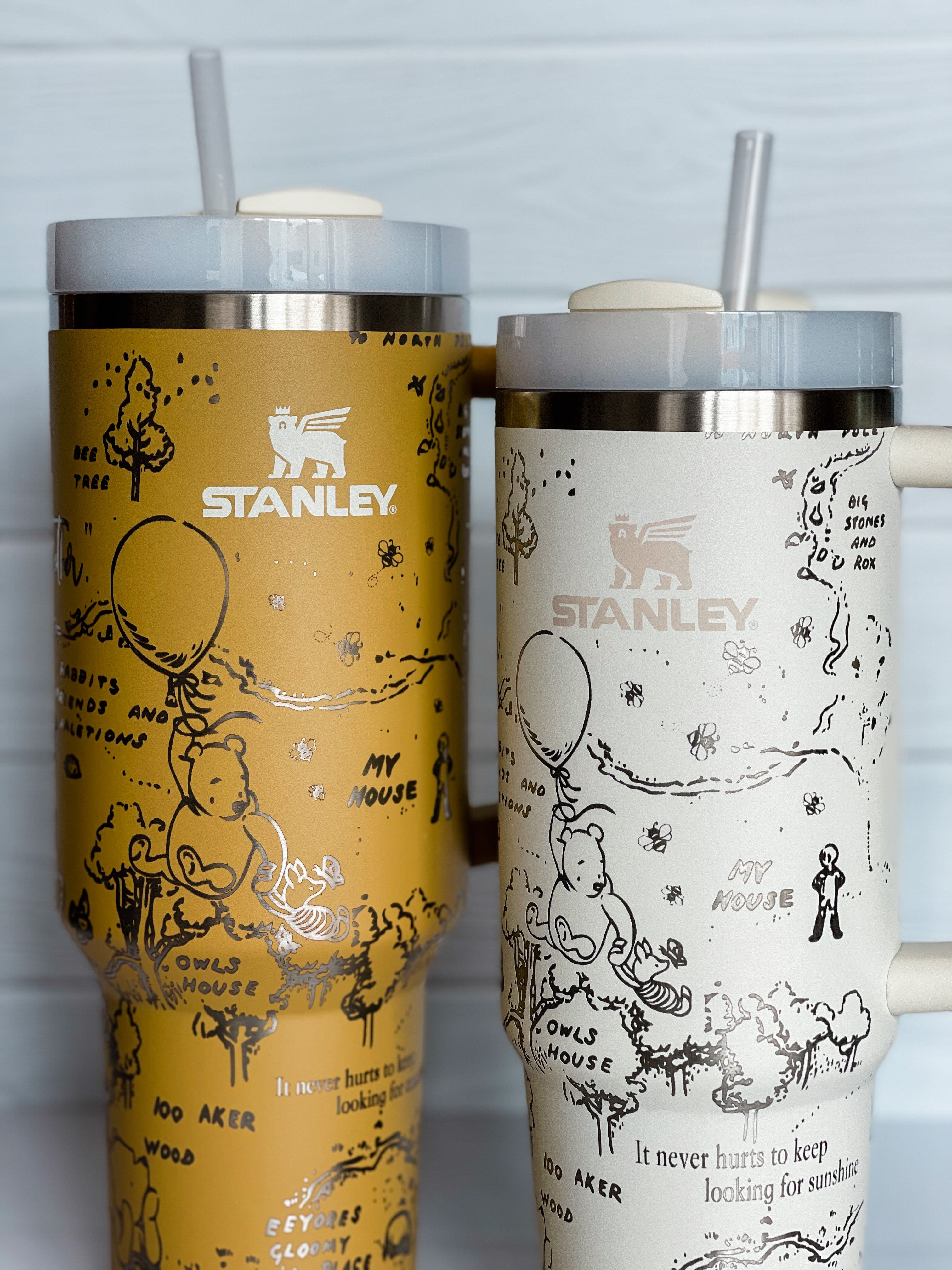 Winnie The Pooh Stanley Cup 40 Oz I Cant Adult Today Take Me To