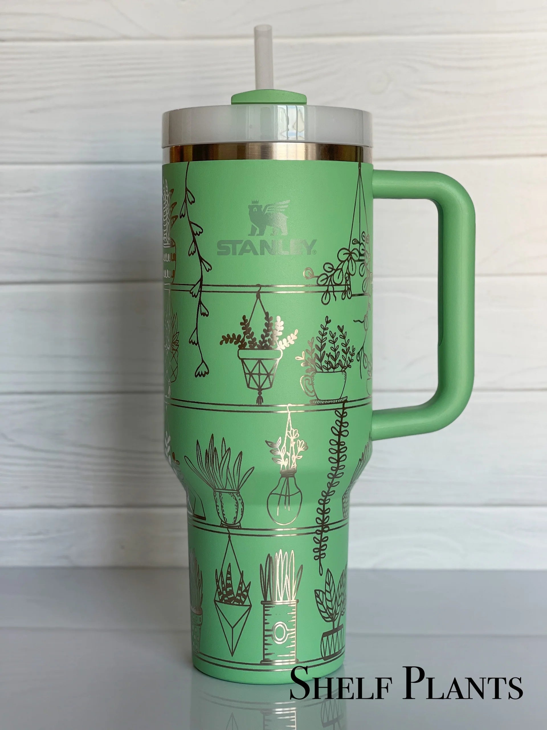 Shelf Plants Tumbler