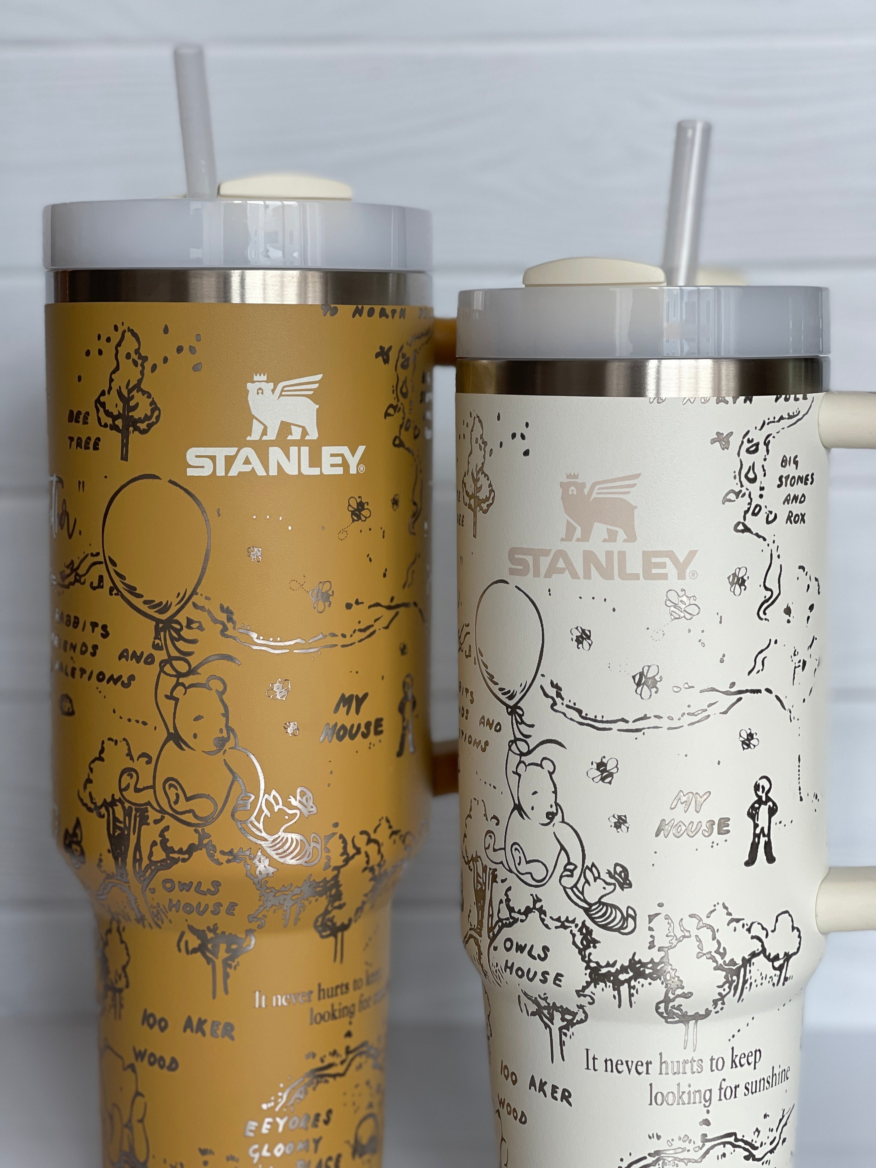 Stanley Adventure Quencher Tumbler Cream Floral 40oz & 23oz Set